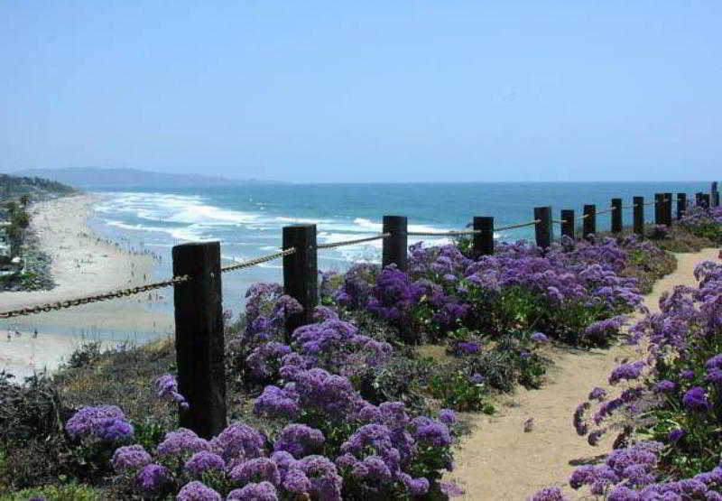 Residence Inn San Diego Del Mar Exterior photo